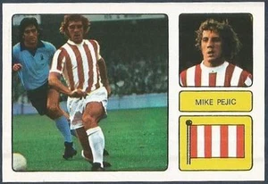 FKS 1973/74 MARAVILLOSO MUNDO DE ESTRELLAS DE FÚTBOL-#243-STOKE CITY-MIKE PEJIC - Imagen 1 de 1