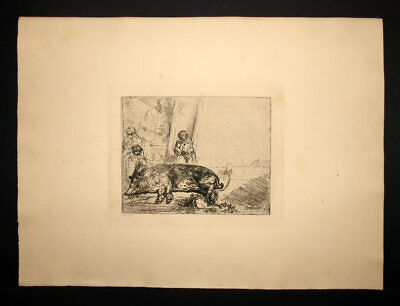 Cerdo Grabado Estampa De Rembrandt Impresión De 1880 • 73.50€