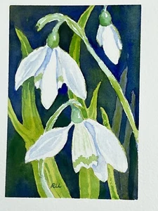 Roberta Larson Original Watercolor Painting Snowdrops 7x6” Signed Flower - Picture 1 of 9