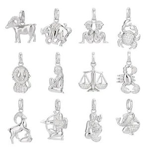 Kettenanhänger Sternzeichen 925 Silber Zirkonia Weiß Horoskop Zodiak Talisman - Bild 1 von 13