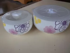 Living Art Brand Ceramic Bowl Set with Plastic Lids Storage Vanity - Picture 1 of 6