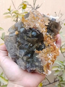 1.1kg Natural Gemstone Fluorite Specimen On Matrix With Calcite Vintage Specimen - Picture 1 of 15