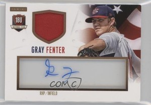 2014 Panini USA Baseball Box Set Signature Jerseys Prime /20 Gray Fenter Auto