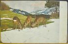 Art Postcard DAS ERSTE GRÜN Eugen Ludwig Hoess German Artist Deer Grass Painting