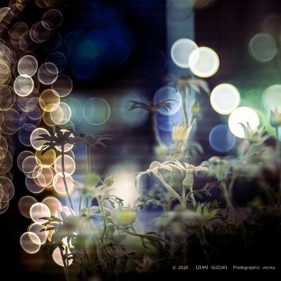 Soviet lens Trioplan modified for Helios 44-2 Adapter for Canon EOS USSR - Image 1 of 4