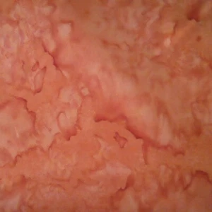 Dutch Orange Becolourful by Anthology - Picture 1 of 1