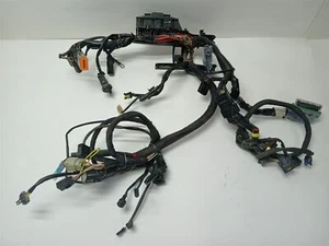 Harley-Davidson 2007 Sportster XL1200 Main Wiring Harness No Key 70181-07 - Picture 1 of 12