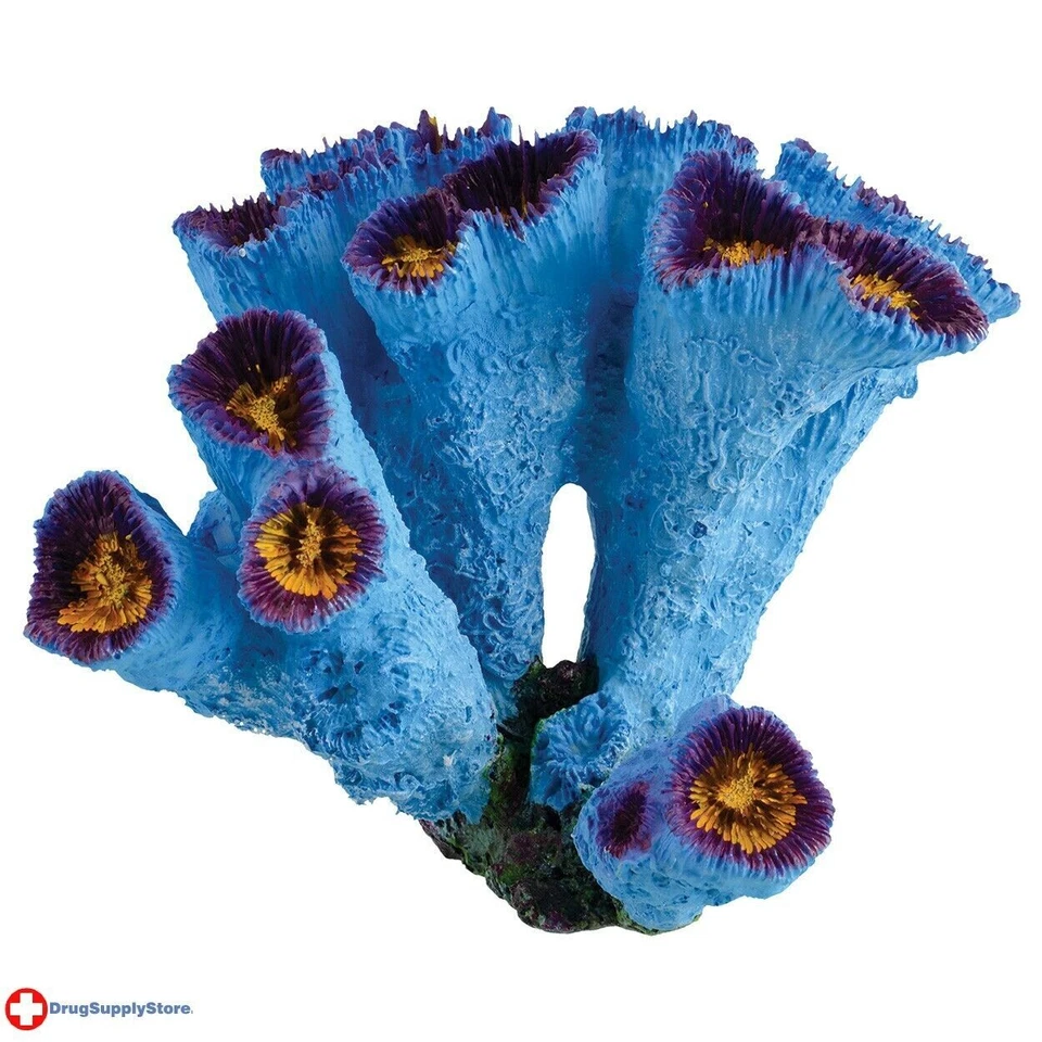 RA Blue Torch коралл 5,75 «x 5» x 5,5» - Изображение 1 из 1