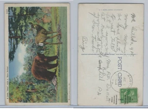 Postkarte, Pennsylvania, A Little Dear With A Bare Behind, 1944 Austin - Bild 1 von 1