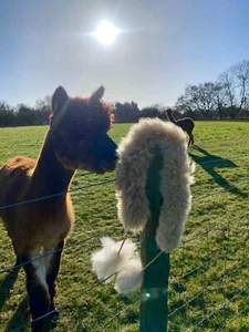 Alpaca ‘Pom Pom’ Fur Scarf SALE! Great price! - Picture 1 of 7