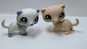 LPS Ferret Ferret #798 #957 Authentic Littlest Pet Shop HASBRO - 119 - Picture 1 of 6