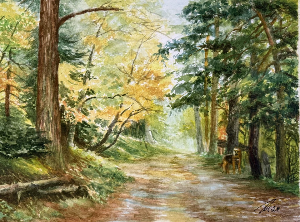Aquarellbild Original 32x24 cm, Landschaft, Allein im Wald  - Bild 1 von 1