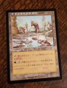 Yavimaya Hollow Japanese FBB NM Urza's Destiny Reserved List MTG Magic 1999 - Picture 1 of 2
