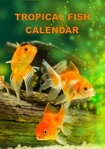 Tropischer Fisch Kalender 2026. Wandbehang A4 oder A5 - Bild 1 von 3