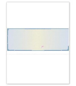 Laser Security Middle Blank Laser Check with Vouchers by Deluxe-Nebs / SLM832 - Picture 1 of 1