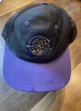 Charleston RIVERDOGS Baseball SnapBack Cap
