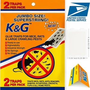2 4 6 8 12 PK Ant Insect Mouse Glue Traps Rodent Catcher Rat Board Super Sticky - Picture 1 of 10