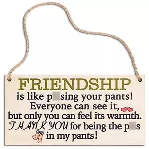Funny Friend Gifts for Women Best Friend Friendship Gift For Women Under 10 1... - Picture 1 of 7