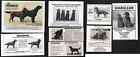 FLAT COATED RETRIEVER BREED KENNEL ADVERTS PART PAGE CUTTINGS 1974-1997