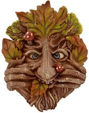 Cheeky Mouth Treant Face Wall Plaque Garden Greenman Decorative Gift Decor. 17c