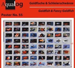 AQUALOG - Fold Poster Goldfish and Fancy Goldfish - Picture 1 of 1