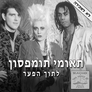Thompson Twins – Into The Gap / Doctor! Doctor! ULTRA RARE 12" RADIO PICTURE LP! - Picture 1 of 5
