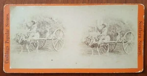 Black Negro Man Riding Mule Pulling Hay Cart Stereoview Southern Scenery Cushing - Picture 1 of 5