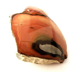 Policromado jaspe pulido 53 mm jaspe minerales decoración etapa Madagascar - Imagen 1 de 4