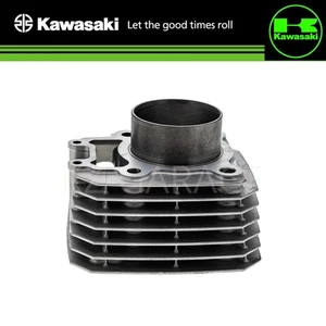 Kawasaki Genuine ENGINE CYLINDER 11005-1965 NEW - Picture 1 of 1