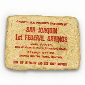 PROMO EXPANDING SPONGE VINTAGE San Joaquin First Federal Savings ADD WATER - Picture 1 of 3