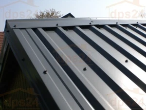 Stahlblech Trapezprofil 0.5/T20 - 1.Wahl ALU-ZINK - Bild 1 von 4