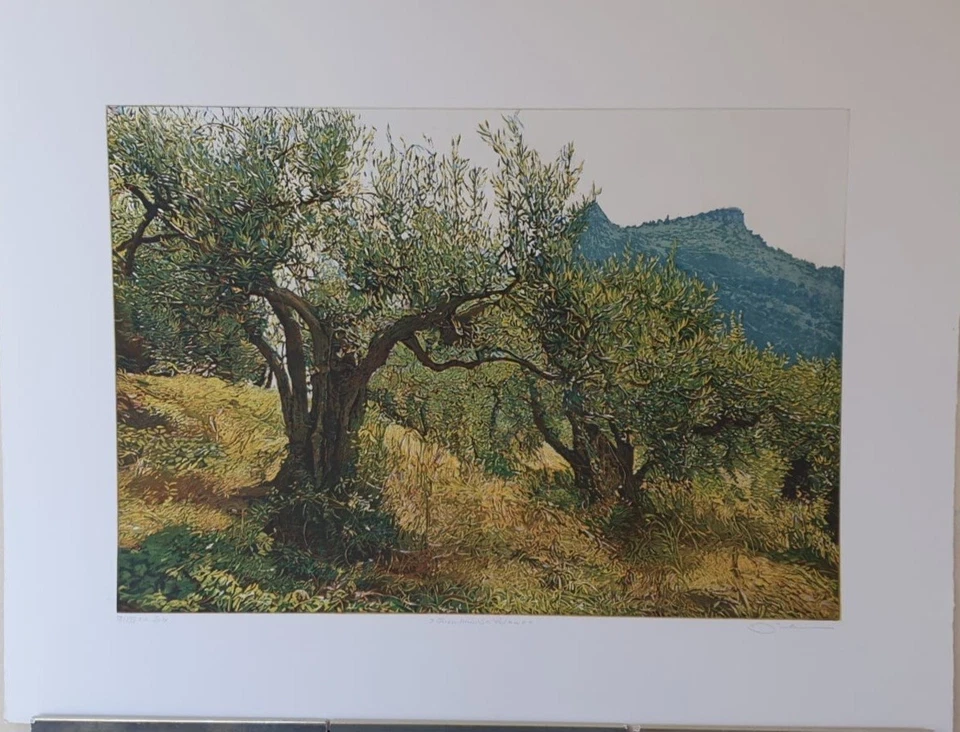Radierung "Olivenhain Palermo " Günther Hermann (1984-2020) - Bild 1 von 1
