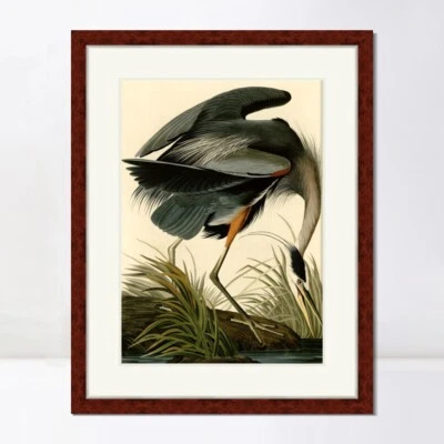 Arte en lienzo enmarcado impresión de giclee gran garza azul por John James Audubon 24"x32" Foto 1 de 4