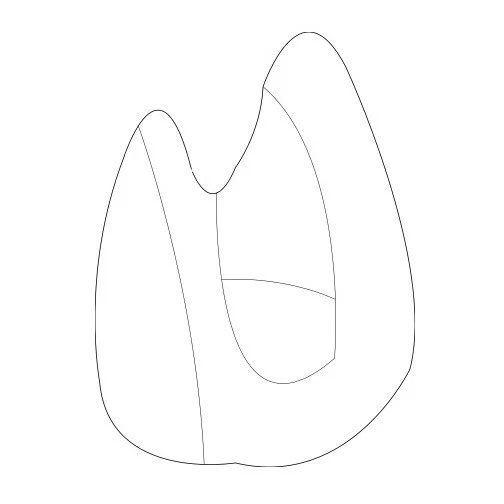 Clip de sello superior convertible genuino OEM para BMW 318i 323i 325i 328i M3 Z3 Foto 1 de 1