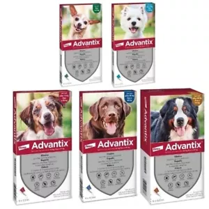 ADVANTIX Antiparassitario Spot On per cani contro pulci zecche e zanzare 6 FIALE - Foto 1 di 1