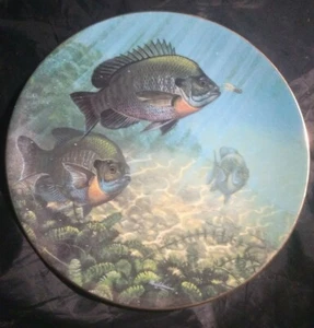 Susinno's Sun Dancer Collectible Plate '90 Angler's Prize Fishing 1340A Hamilton - Picture 1 of 4