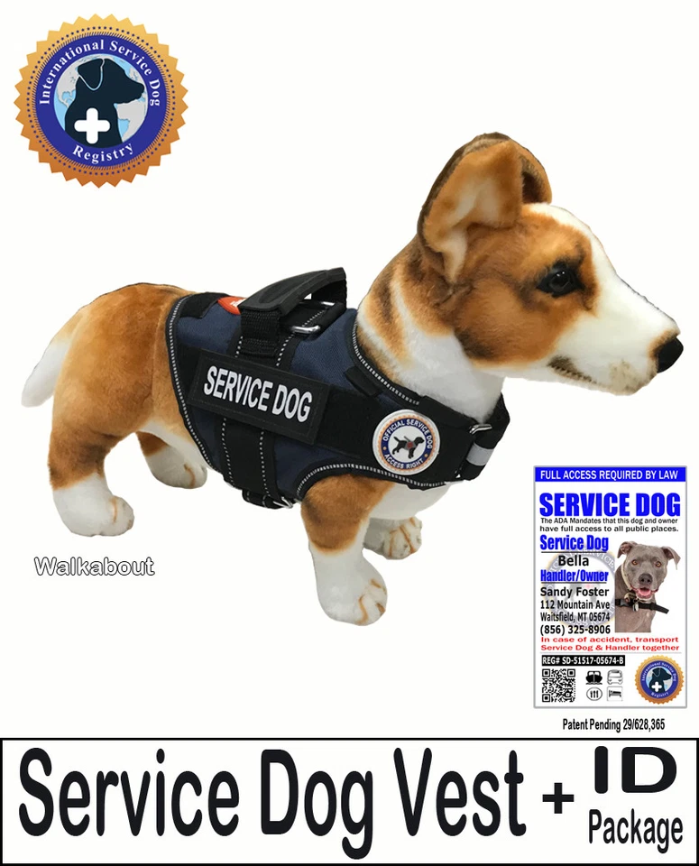 SERVICE DOG PKG - Vest  + ID - the "Walkabout" by LuvDoggy  - Image 1 of 1