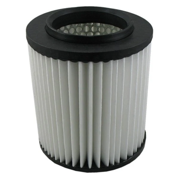 For Audi A8 Quattro 2004-2010 Pentius PAB10581 UltraFLOW Air Filter Foto 1 de 1