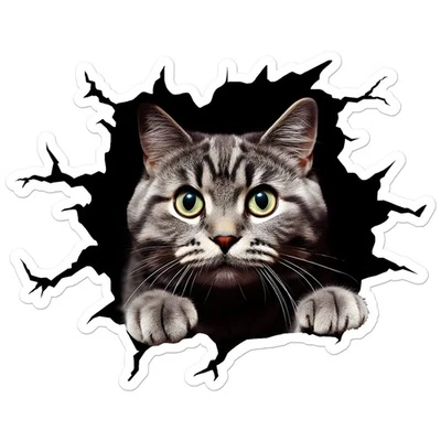 SOUTHERN STICKERZ Cat Kitten Peeking Hole - Vinyl Decal Sticker - Car Window Laptop - ebn11074