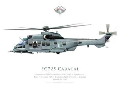 Print EC725 Caracal, EH 01.067 Pyrénées, Armée de l'Air (par U. Crisponi) - Photo 1/4