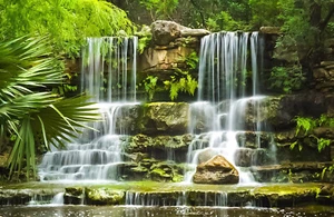 10x8ft Green Jungle Garden Scenery Waterfall Photo Background Vinyl Backdrop LB - Picture 1 of 10