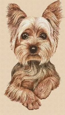 dog yorkshire terrier Cross Stitch Chart yorkie FlowerPower37-uk