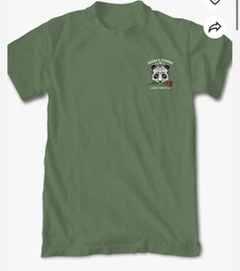 Camiseta Calavera Panda Verde Riot Society Talla S (Usada) Buena - Imagen 1 de 12