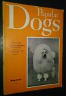 Popular Dogs Illustrated Magazine Miniature Poodle Cover Photos May 1955