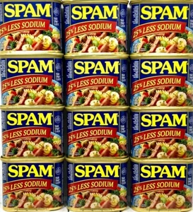 Spam 25% Less Sodium Luncheon Meat 12 oz ( Pack of 12 )~11/2027 - Picture 1 of 5
