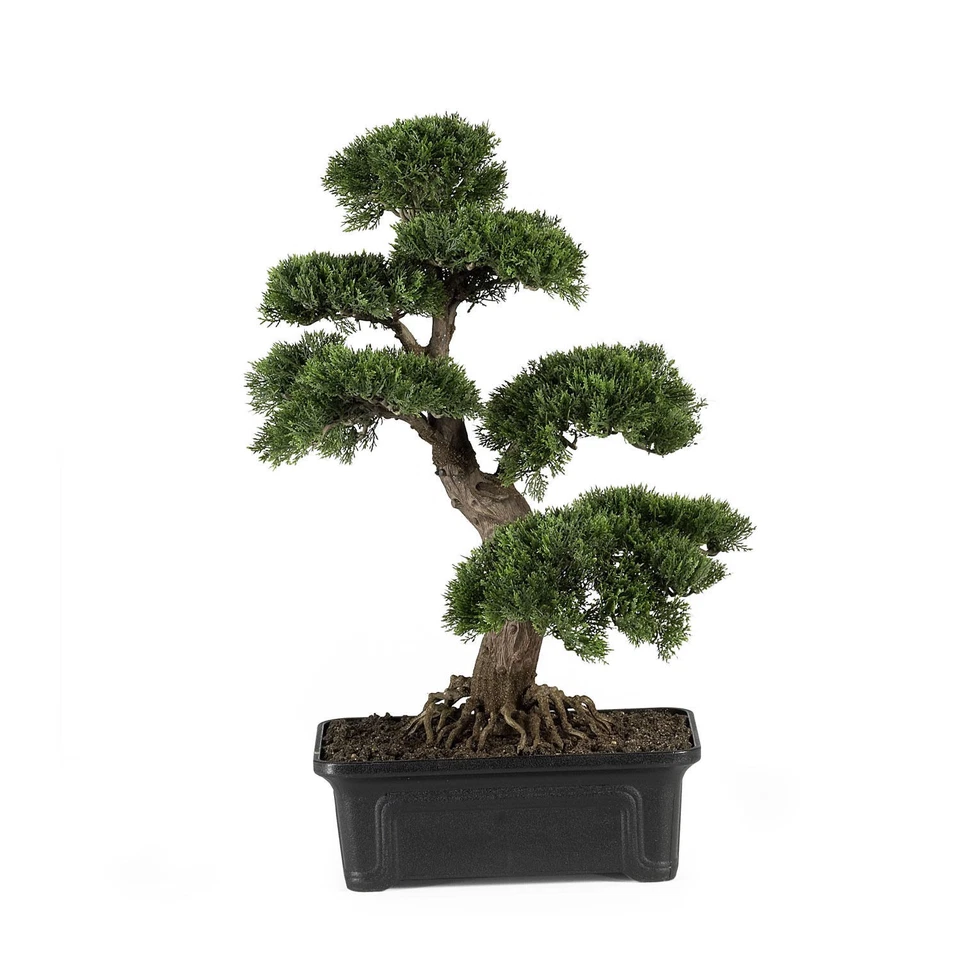2' CEDAR BONSAI TREE Artificial Fake Silk Gift Plant - INDOOR / OUTDOOR - Image 1 of 1