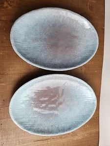 Pottery Barn Rustic Cream Blue Oval Plate Stoneware Set Of 2 Made In Portugal - Picture 1 of 18