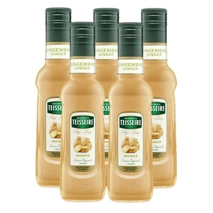 Teisseire Getränke-Sirup Ingwer 0,25L (5er Pack) - Bild 1 von 7
