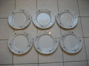 6 schöne Speiseteller / Seltmann Weiden Julia / weiss - blaue Blumenranke - Bild 1 von 12