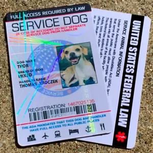 Tarjeta de identificación holográfica personalizada para perro de servicio - Imagen 1 de 16
